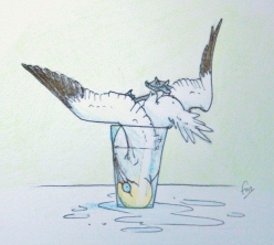 Gannet in a Glass